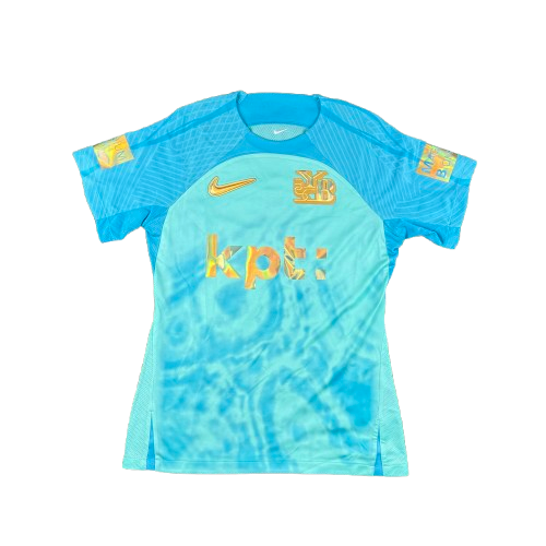 Nike YOUNG BOYS “Aare Edition” (2024/25)