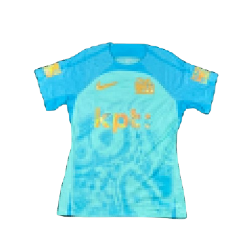 Nike YOUNG BOYS “Aare Edition” (2024/25)