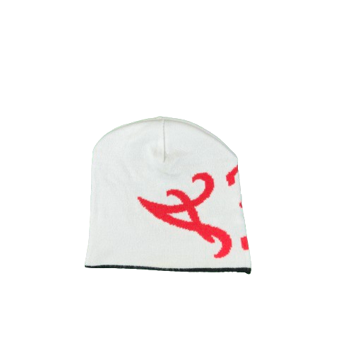 PPSC - Beanie reversible
