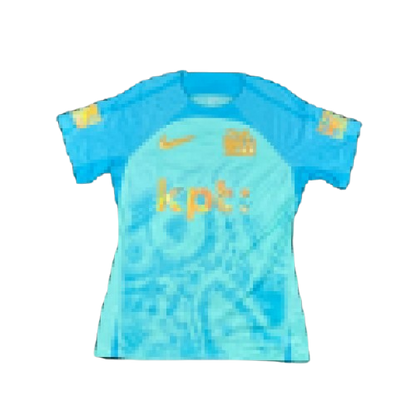 Nike YOUNG BOYS “Aare Edition” (2024/25)